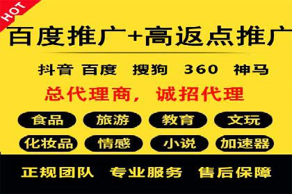 竞价广告与自然搜索的结合策略：XX网站的案例分析